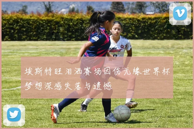 埃斯特旺泪洒赛场因伤无缘世界杯梦想深感失落与遗憾