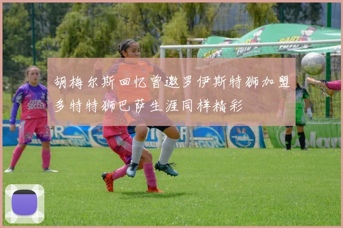 胡梅尔斯回忆曾邀罗伊斯特狮加盟多特特狮巴萨生涯同样精彩